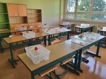 Willkommensgeschenk für die neuen Schüler/innen der 5. Klassen